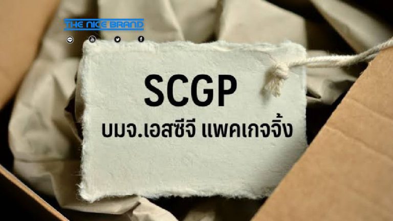 SCGP จับมือ กรุงศรี สนับสนุนสินเชื่อความยั่งยืน SLL ย้ำนโยบาย ESG
