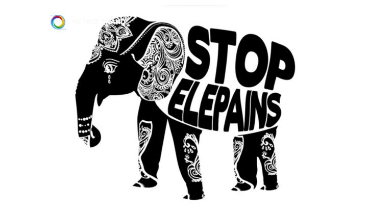 “กางเกงช้าง” ยุติมุมมืด “ช้างไทย”…“Stop Elepains”